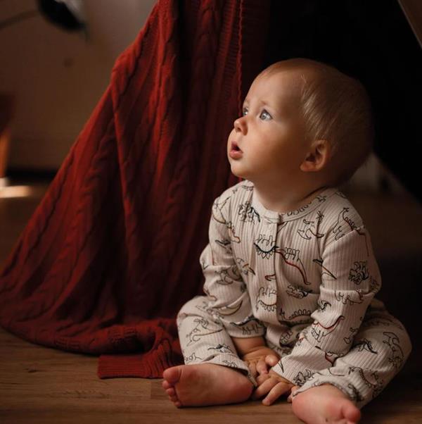 Antebies Dino Tulum STD