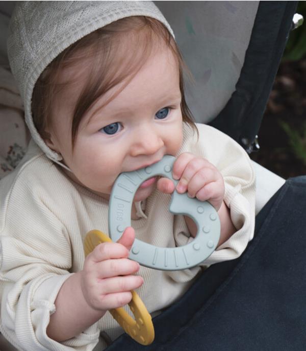 Bibs Diş Kaşıyıcı Sage