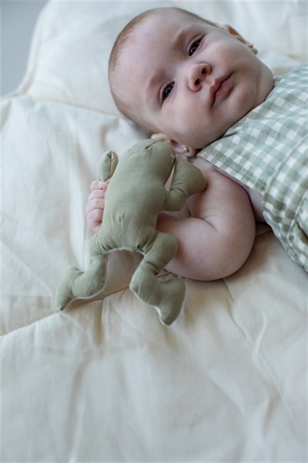 Lily Pond, 3lü Krinkle ve Çıngıraklı Bebek Oyuncak Seti