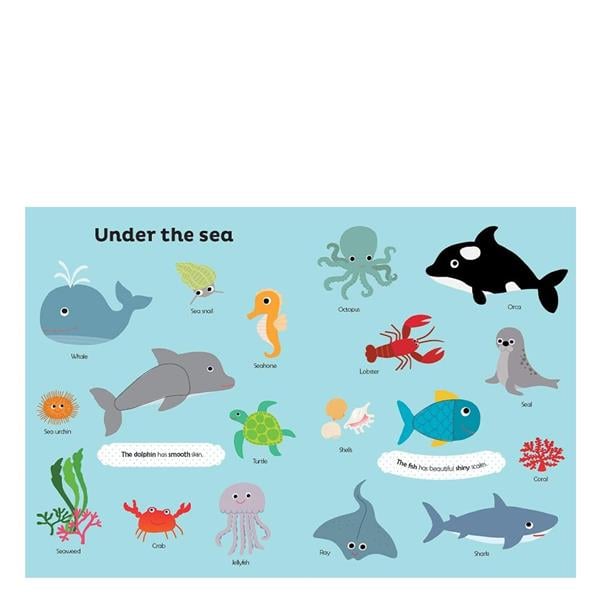 My First Touch And Feel: Nature