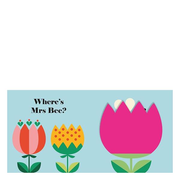 NC - WHERE IS MRS LADYBIRD BUGGY BOOK