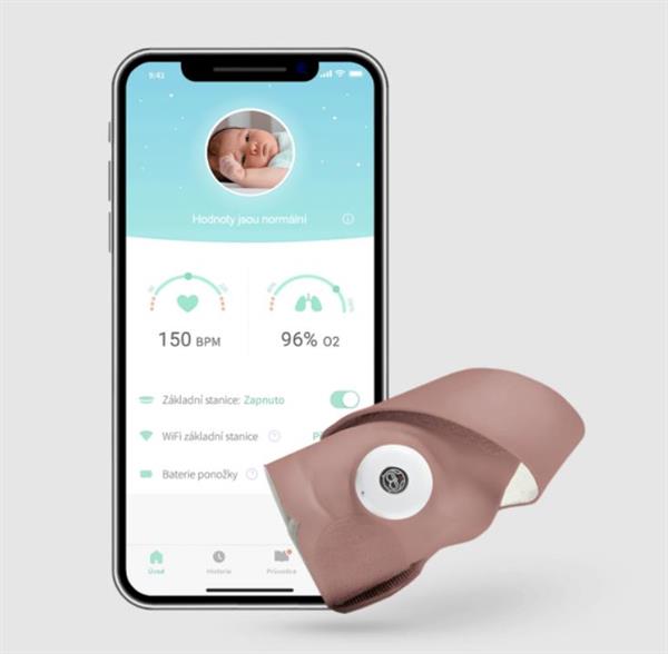 Owlet Smart Sock / Akıllı Çorap Gül Kurusu