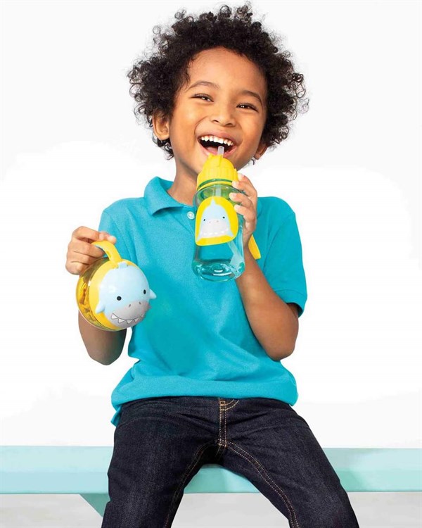 Pipetli Suluk Köpek Balığı