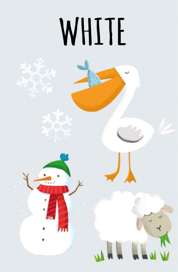 Sassi My First Library - Colours