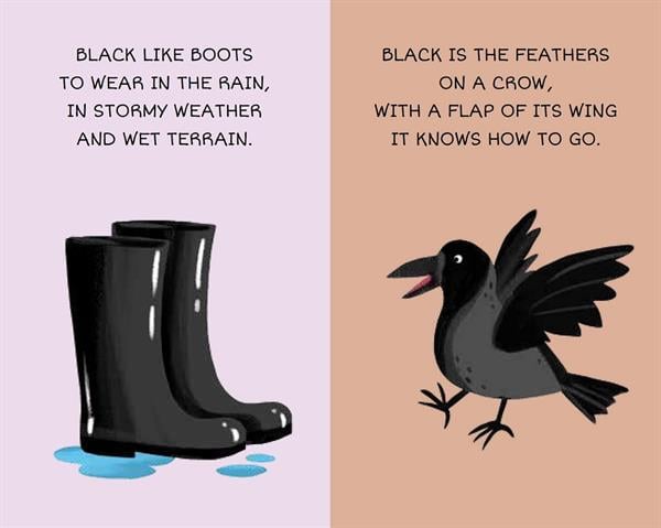 Sassi My First Library - Colours