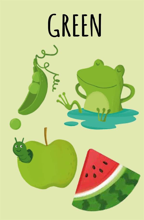 Sassi My First Library - Colours