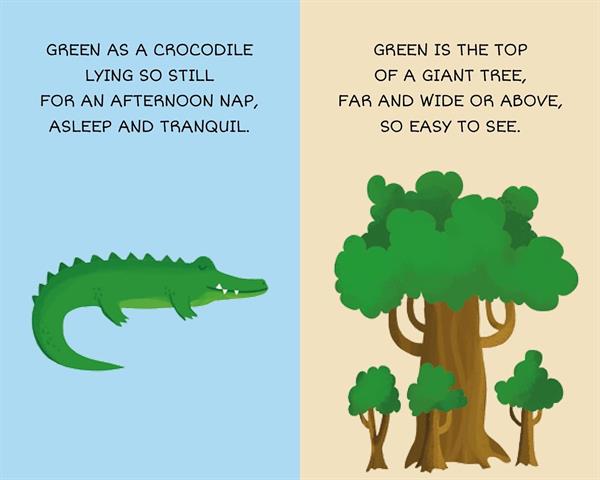 Sassi My First Library - Colours