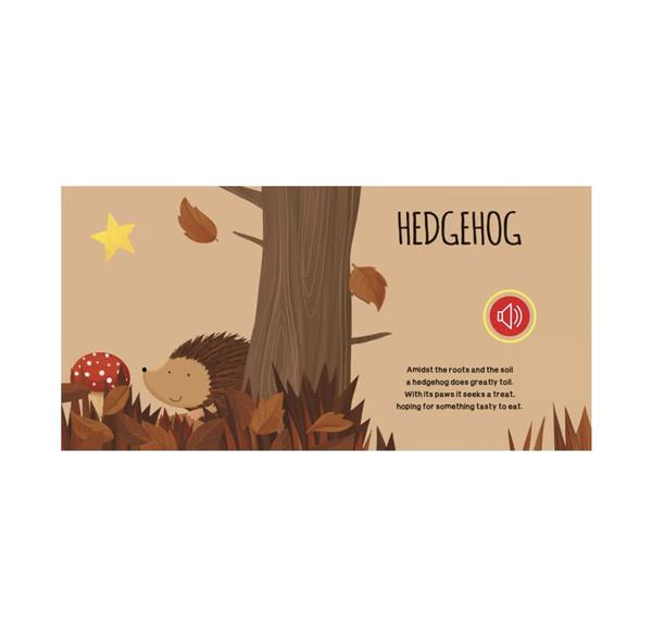 Sassi Sound Book - The Wood