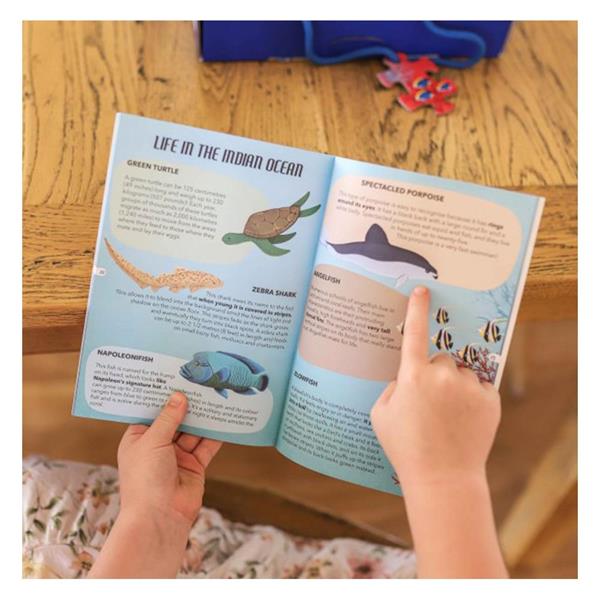 Sassi Travel, Learn and Explore - The Sea