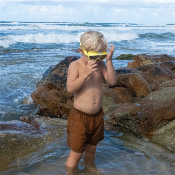 SunnyLife Deniz Maskesi Köpekbalığı