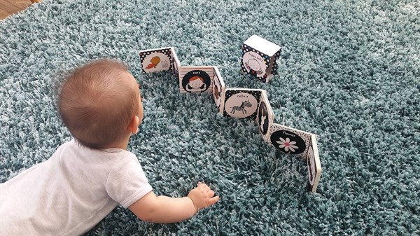 USB - BVF Black White Little Library