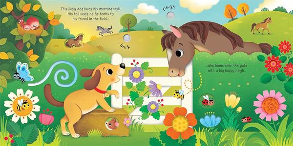 USB - Sound Books - Pets Sound Book