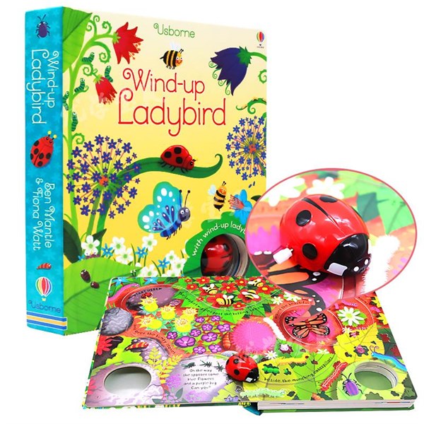 USB - Wind-Up  Ladybird