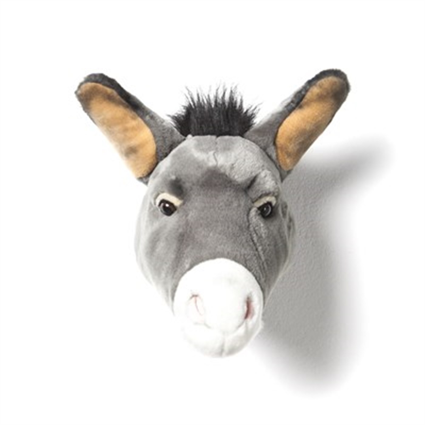 Duvar aksesuarı - Eşek Francis