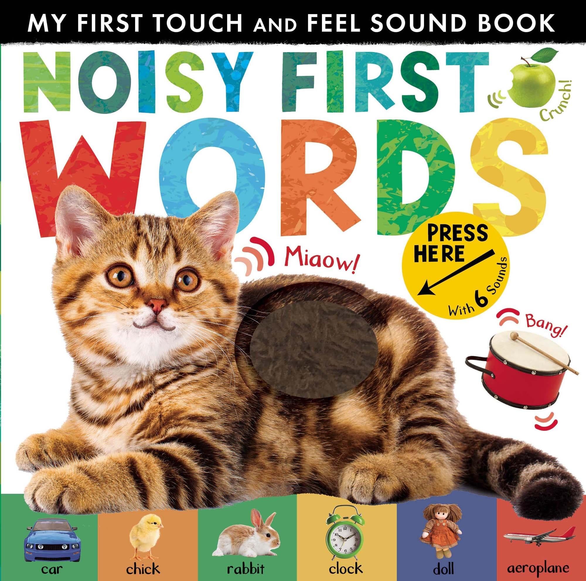 Little Tiger - Noisy First Words
