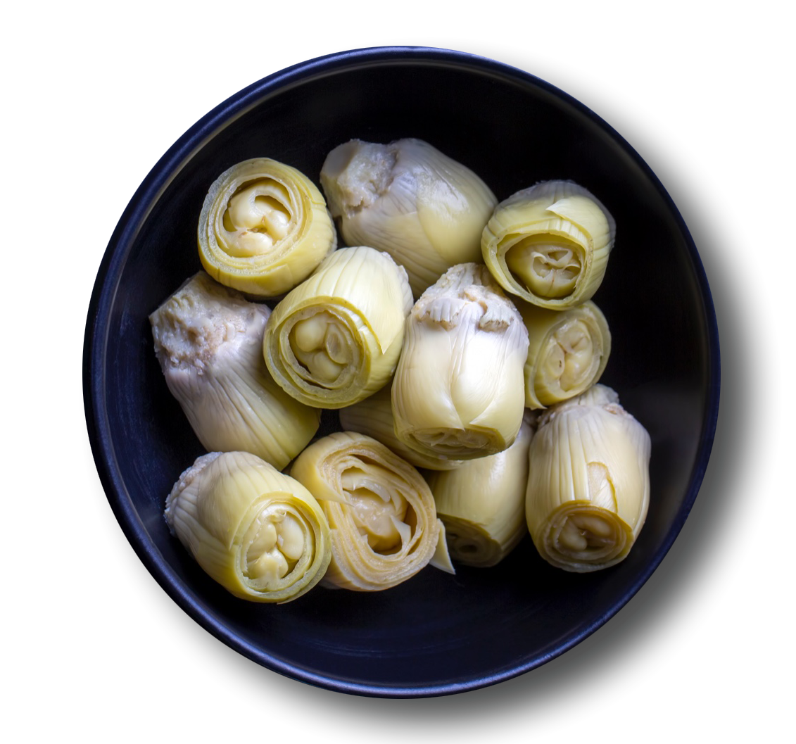 ENGİNAR KALP 660CC
