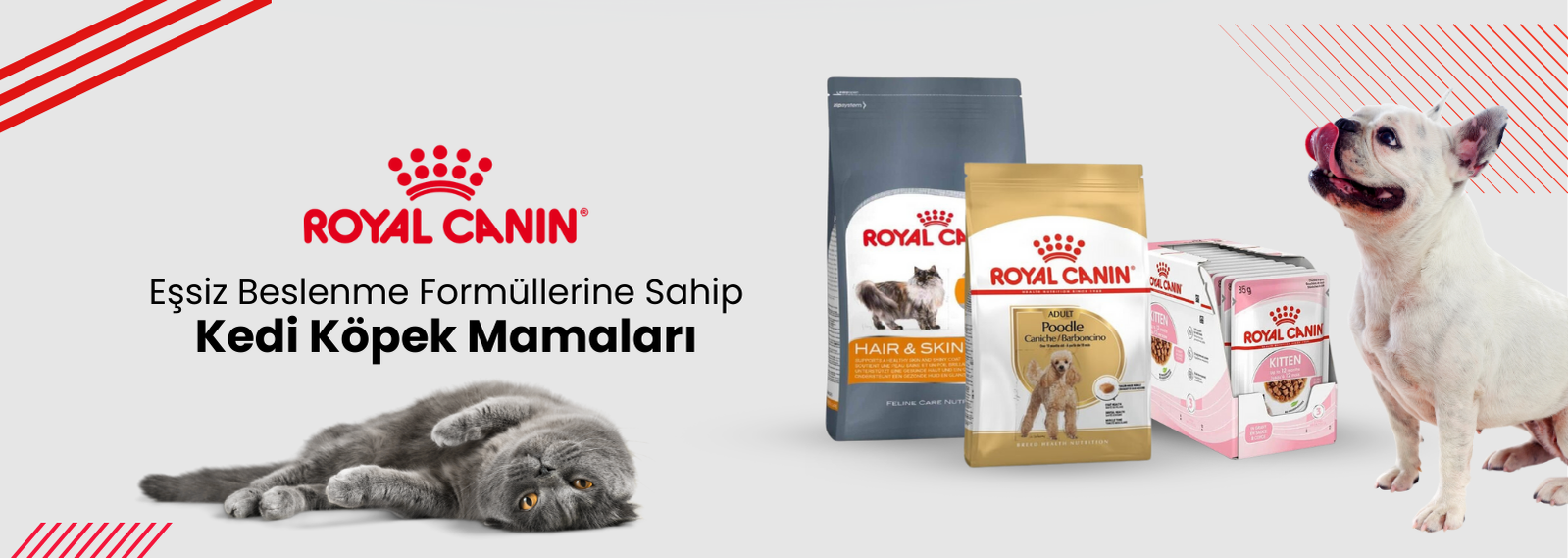 Royal Canin Mamaları