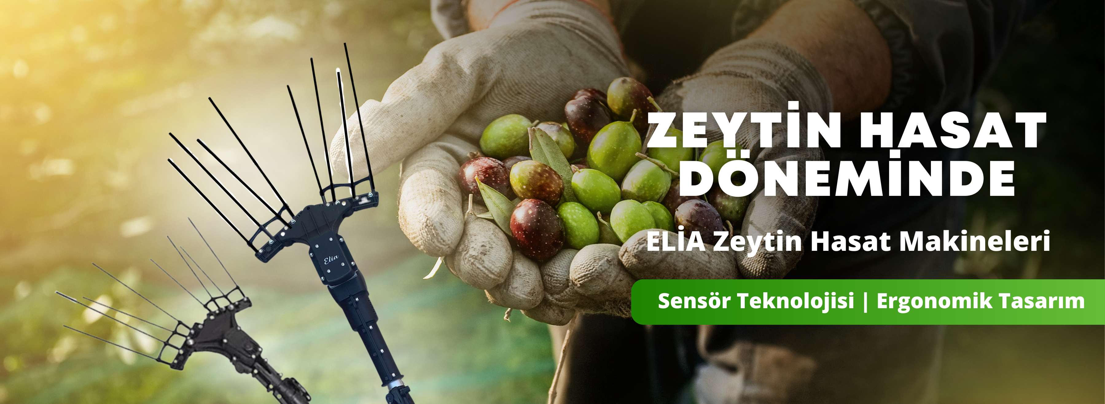 Zeytin Hasat Makineleri