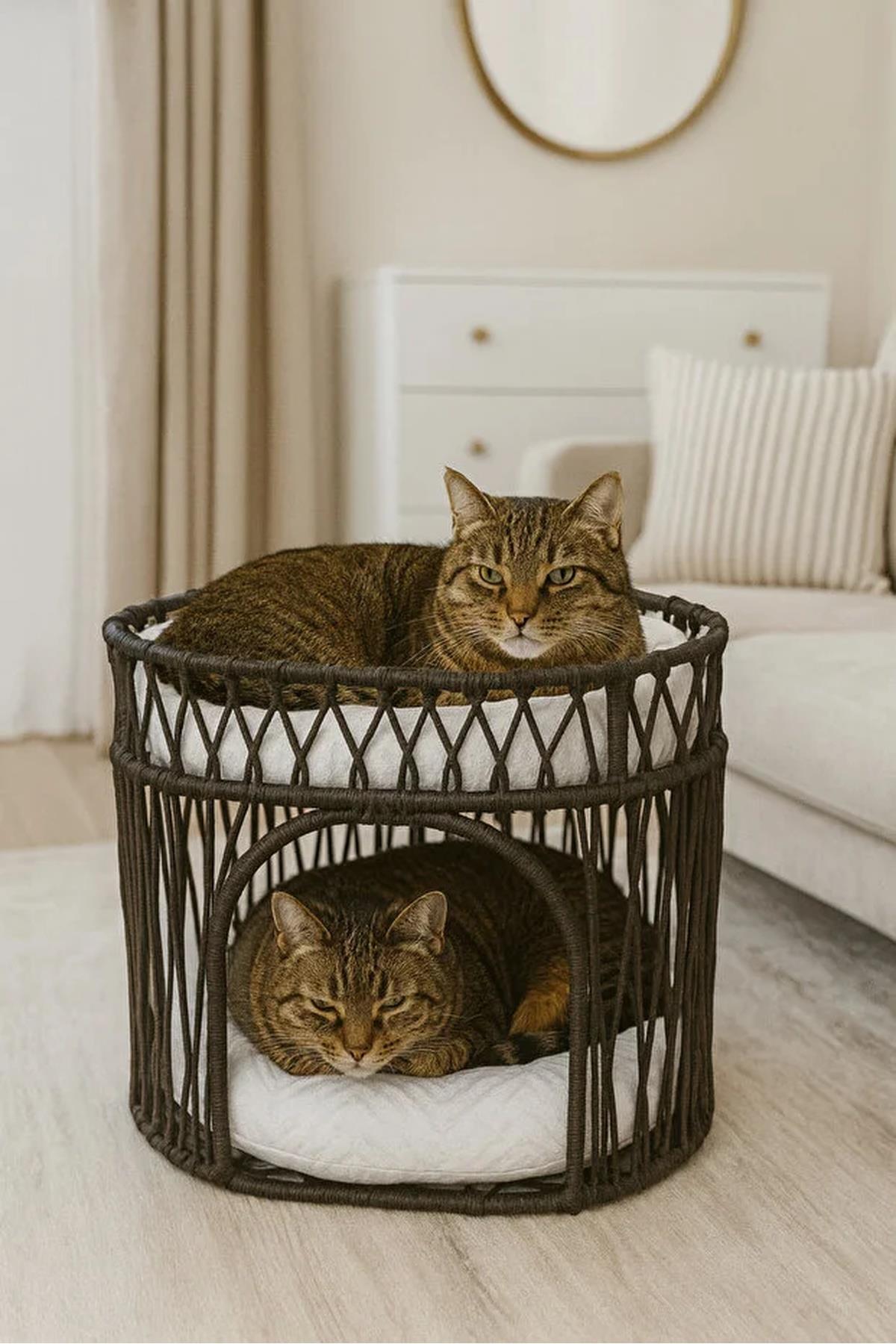 Tasaryum Çift Katlı Kedi Yatağı Kedi Ranzası, İskandinav Kedi Evi Antrasit