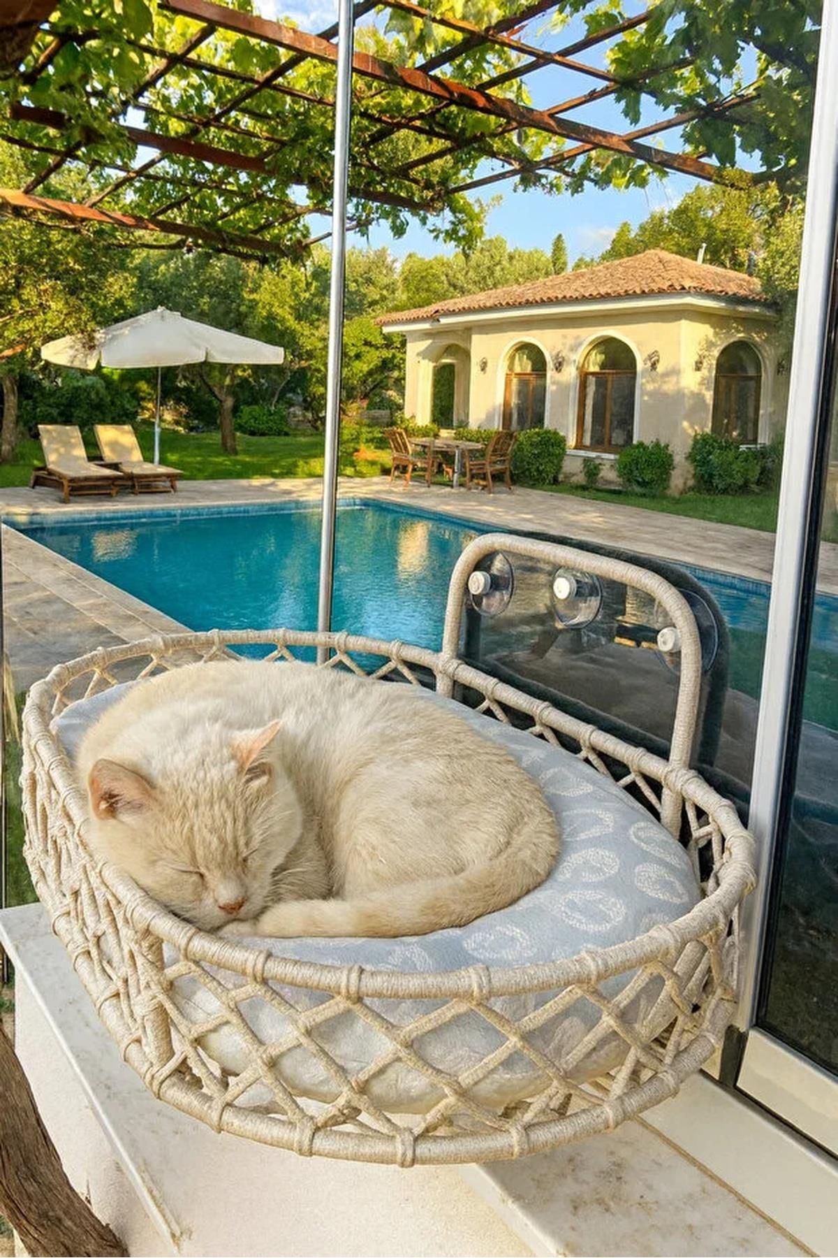 Tasaryum Kedi ve Köpek El Örgüsü Vantuzlu Cam Yatağı Hamak Krem