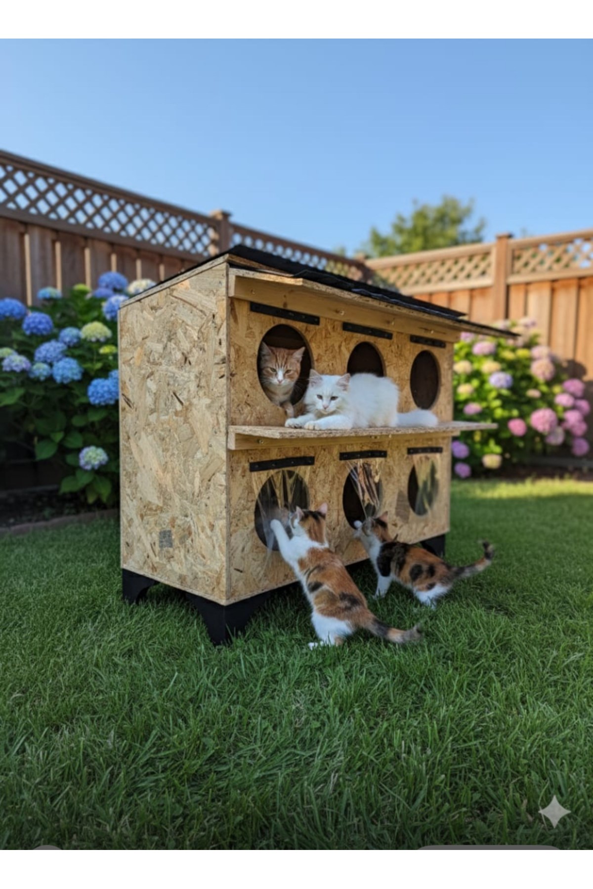 Narım Dış Mekan Kedi Evi 6 Kedilik 2 Katlı Ahşap Kedi Barınağı, Su ve Isı Yalıtımlı Monteli Teslimat