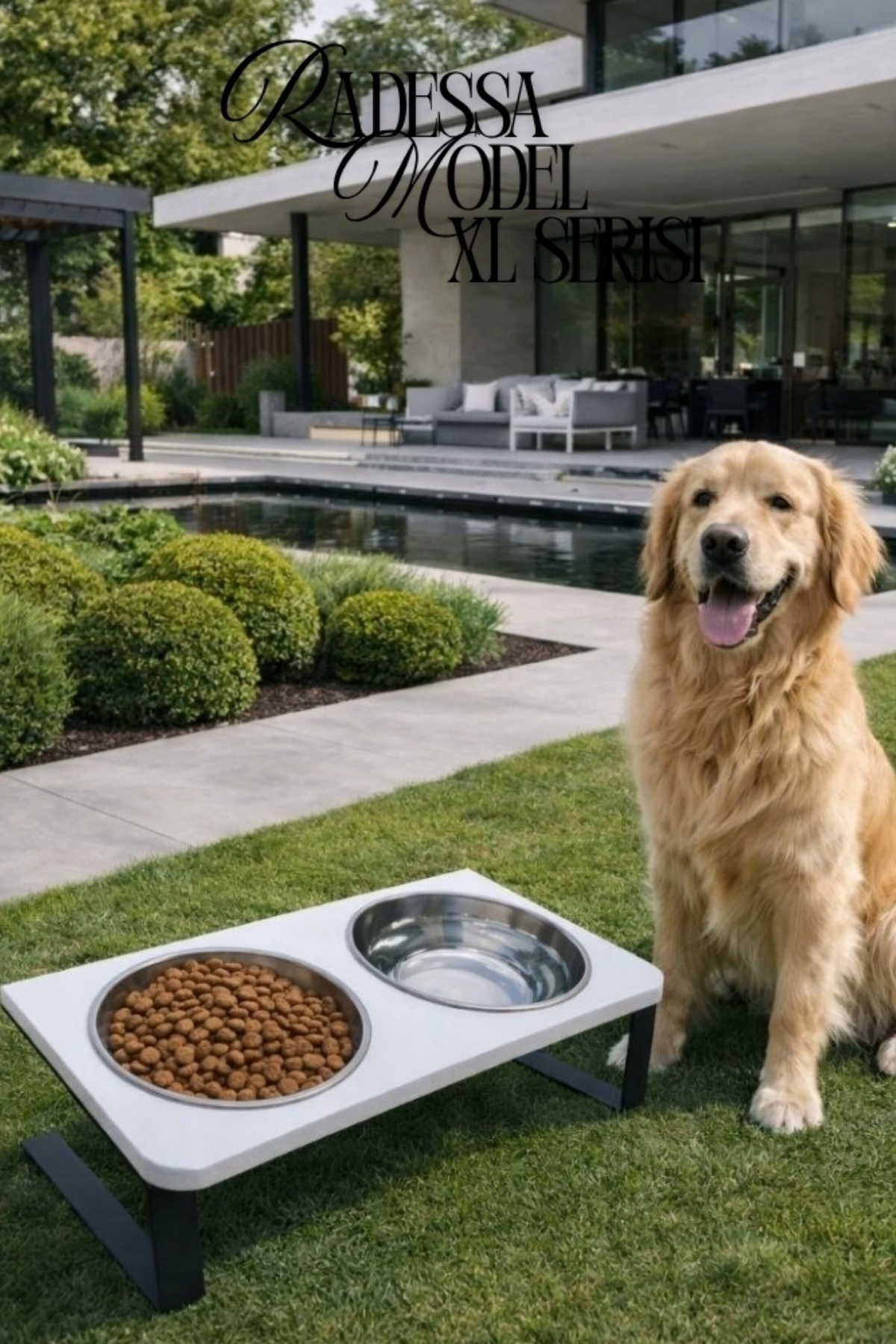 Reyo OK-AY Store Radessa XL Yüksek Standlı Çift Hazneli Mama ve Su Kabı, Büyük ve Orta Boy Köpek ve Kedi Su Kabı Paslanmaz Çelik Beyaz