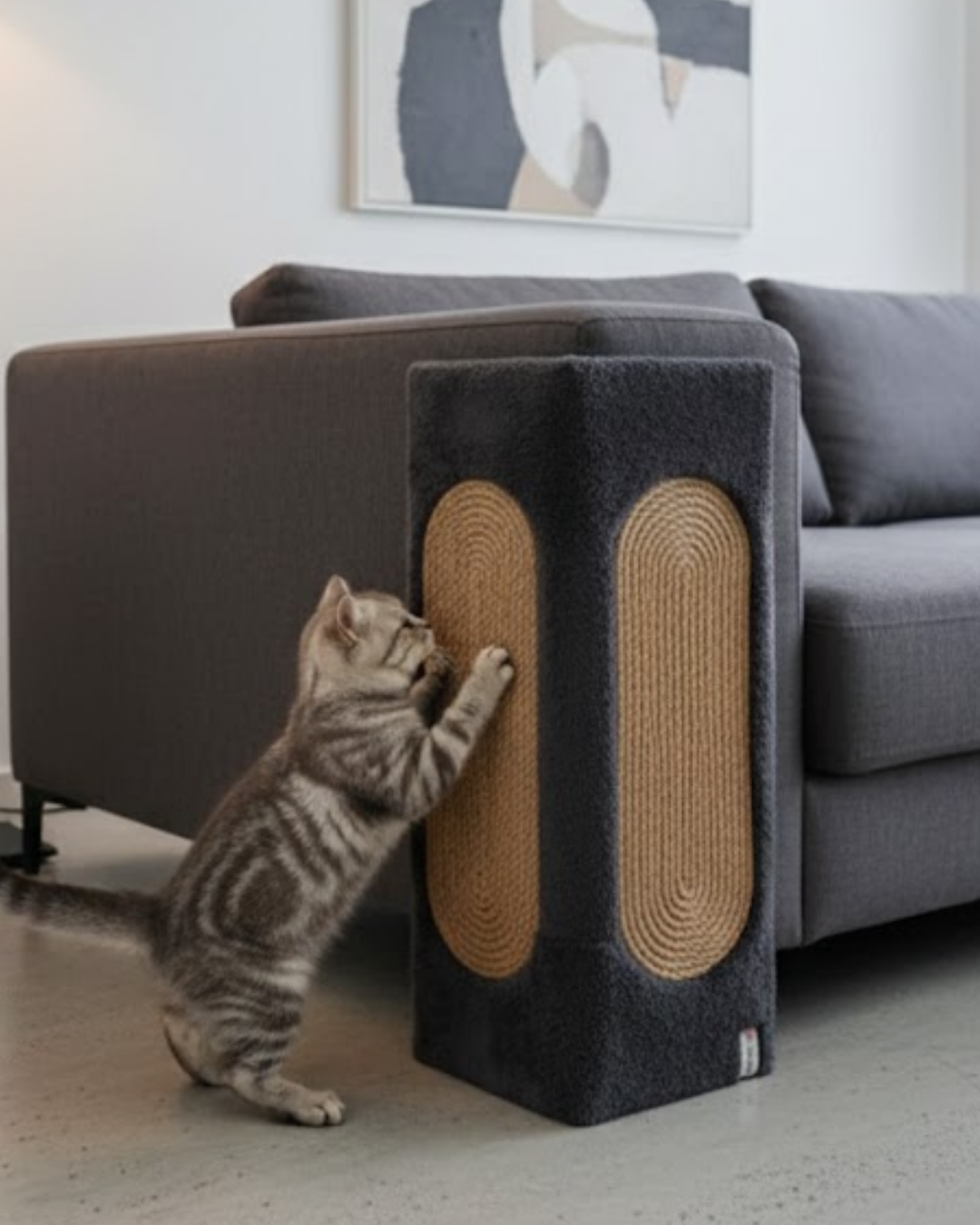 Reyo Pet Koltuk Köşe Koruyucu Kedi Tırmalama Tahtası Çok Yönlü Kullanım Antrasit