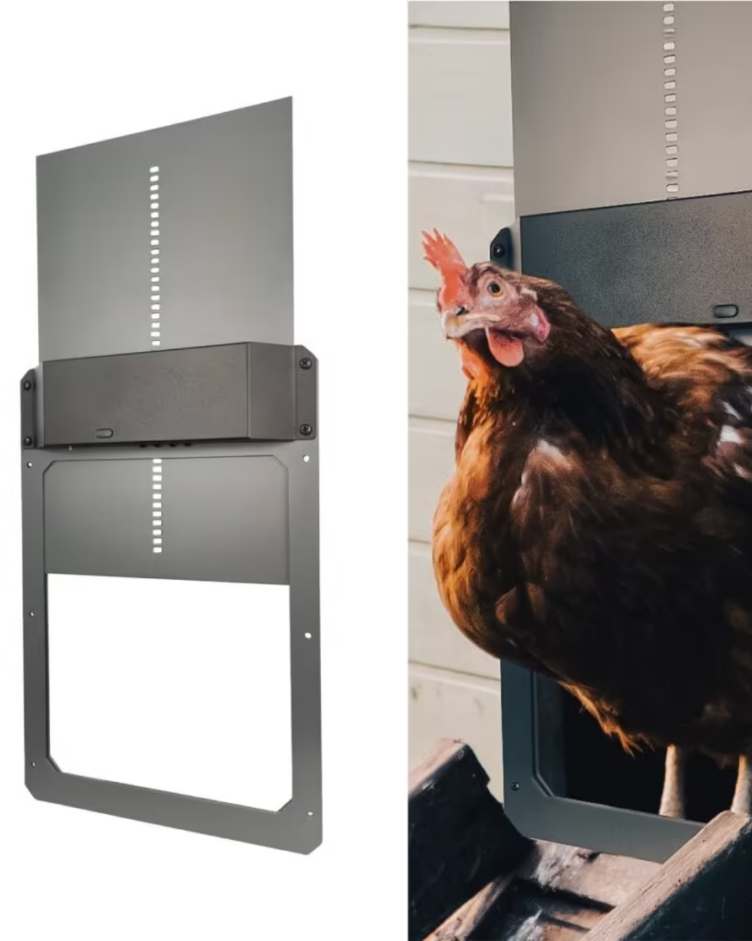 Kadmec VIP Işık Sensörlü Alüminyum Otomatik Kümes Kapısı