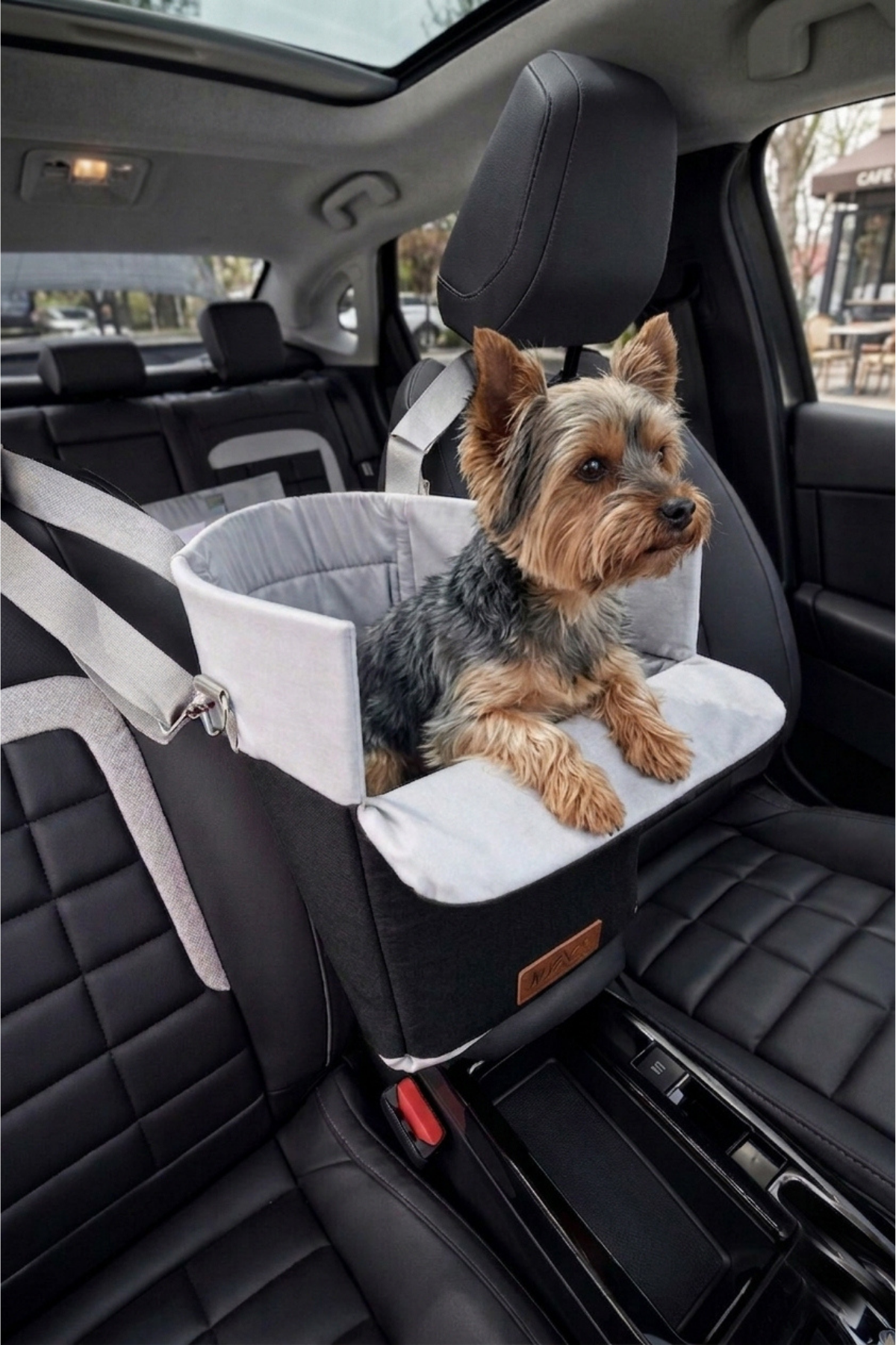 Reyo Max Design Kedi Köpek Taşıma Çantası Siyah – Seyahat için Hafif ve Hava Alabilen Evcil Hayvan Çantası