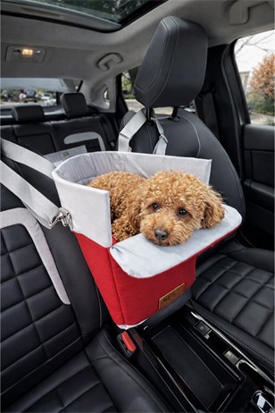 Reyo Max Design Kedi Köpek Taşıma Çantası Kırmızı – Seyahat için Hafif ve Hava Alabilen Evcil Hayvan Çantası