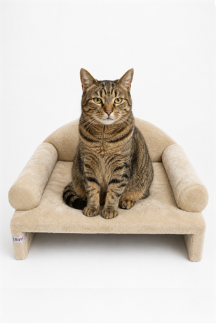 Reyo Pet Peluş Kedi Koltuğu, Kedi Kanepesi, Kedi Yatağı, Evcil Hayvan Dinlenme Koltuğu, Rahat Kedi Sofa Yatağı, 45x33x25 cm Bej