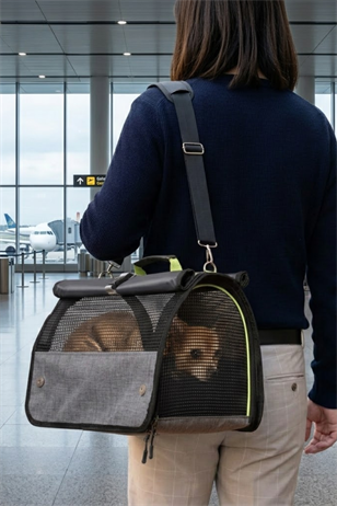 Reyo Brave Paws Flybag Plastik Yırtılmaz Fileli Kedi Ve Köpek Taşıma Çantası Seyahat Çantası Gri 45x25x26cm