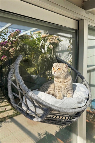 Reyo Lüxperi Hilal Kedi Cam Yatağı & Vantuzlu Cam Yatağı & Kedi Pencere Yatağı Açık Gri