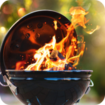 Mangal ve Barbekü