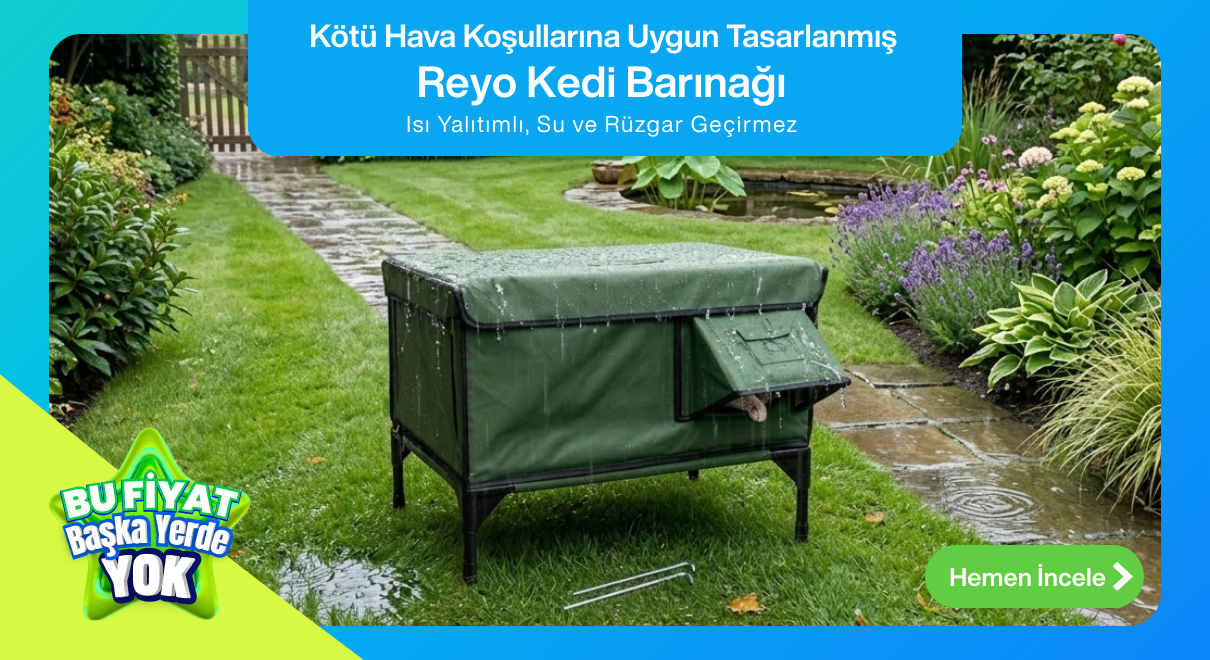 Reyo Kedi Barınağı Kedi Evi