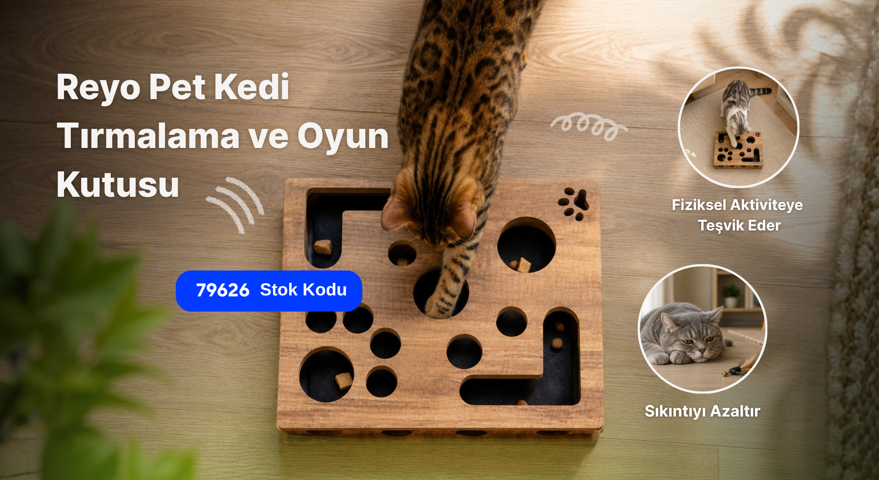 Reyo Kedi Barınağı Kedi Evi