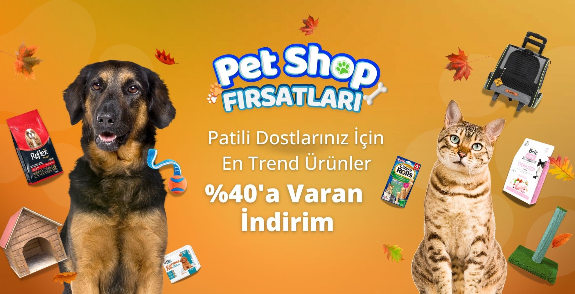 4  Ekim Hayvanları Koruma Günü