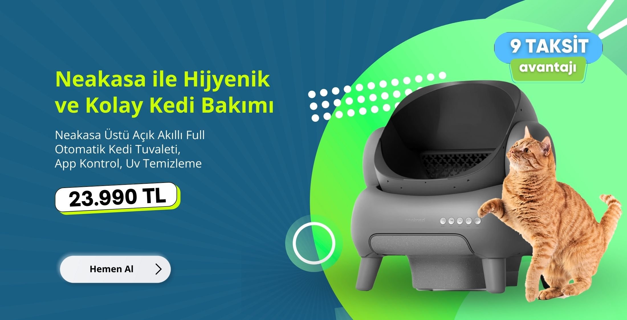 Nekasa Kedi Tuvaleti