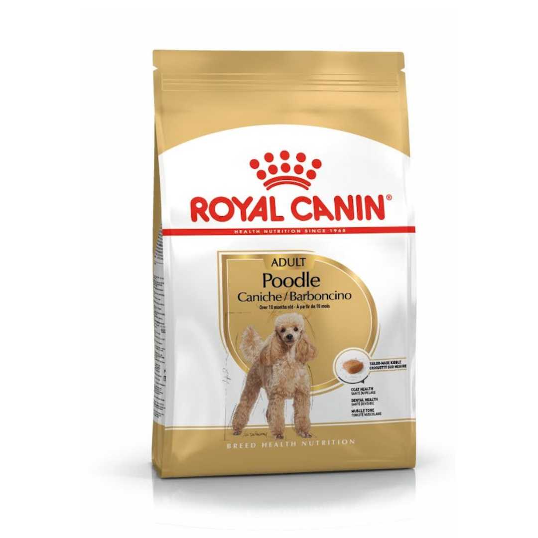 Royal Canin Poodle Adult 3 kg Yetişkin Köpek Maması