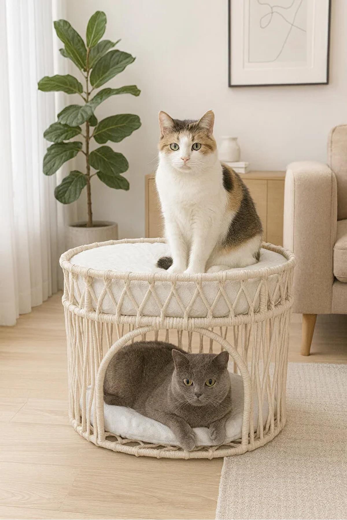 Tasaryum Çift Katlı Kedi Yatağı Kedi Ranzası, İskandinav Kedi Evi Bej