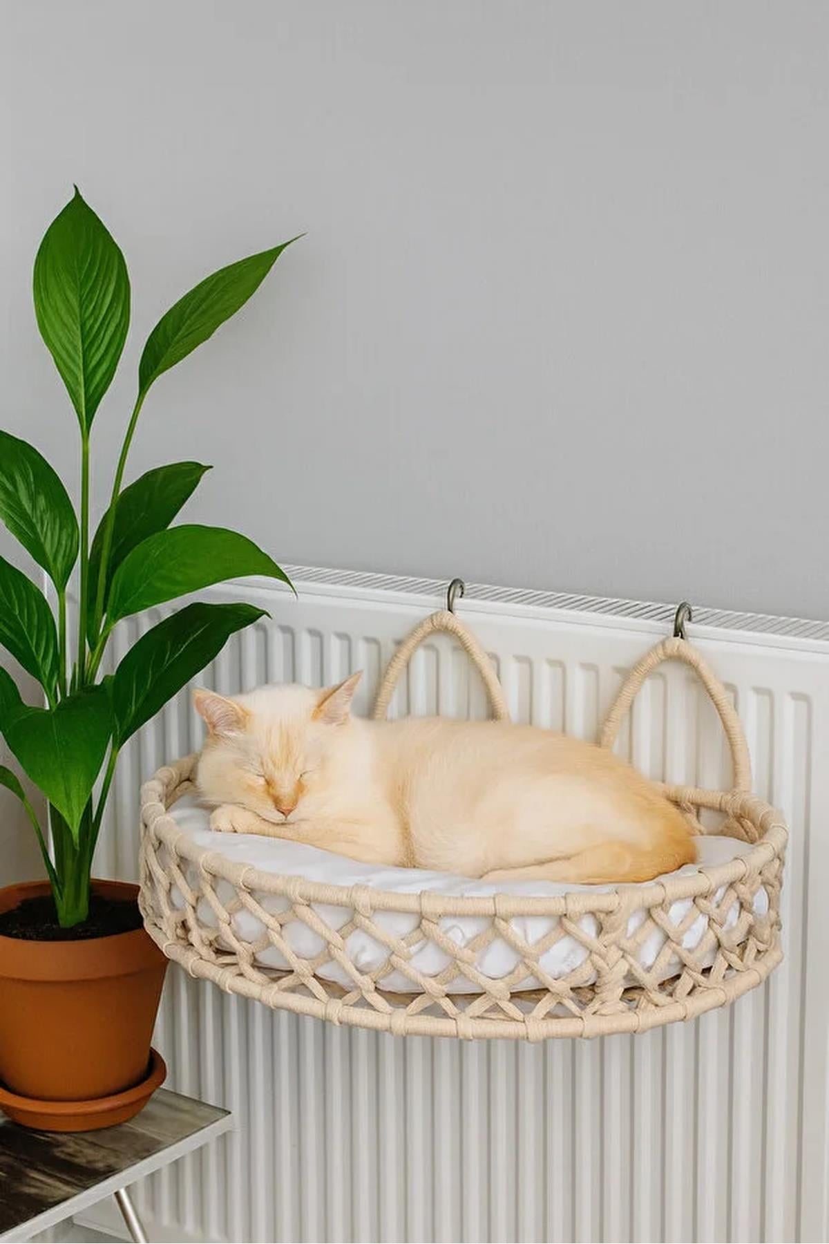 Tasaryum Kedi Köpek Kalorifer Yatağı, Hamak, Radyatör Yatağı Krem