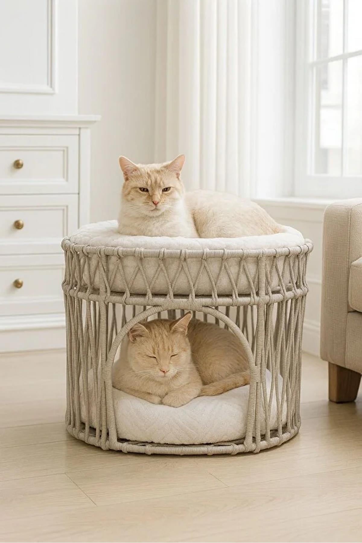 Tasaryum Çift Katlı Kedi Yatağı Kedi Ranzası, İskandinav Kedi Evi Gri