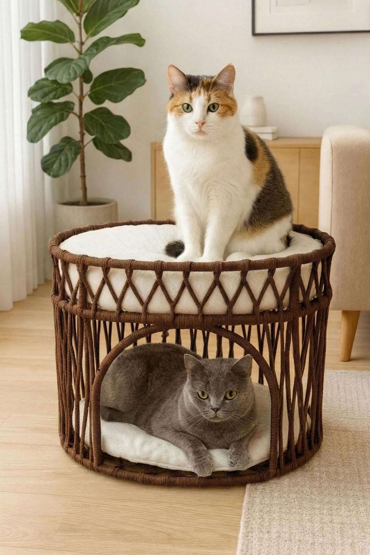 Tasaryum Çift Katlı Kedi Yatağı Kedi Ranzası, İskandinav Kedi Evi Kahverengi