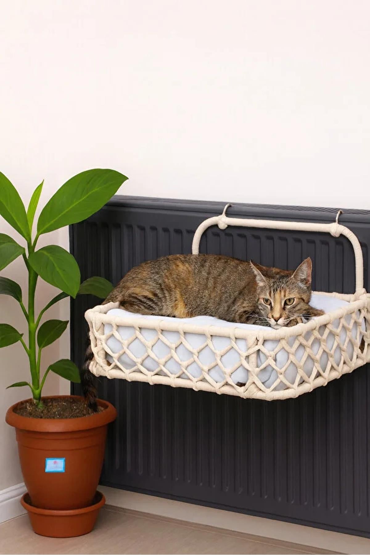 Tasaryum Kedi Köpek Kalorifer Yatağı, Hamak, Radyatör Yatağı Krem
