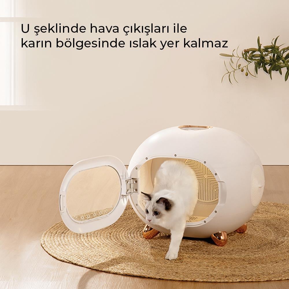 Neutron Pet Kurutma Kutusu