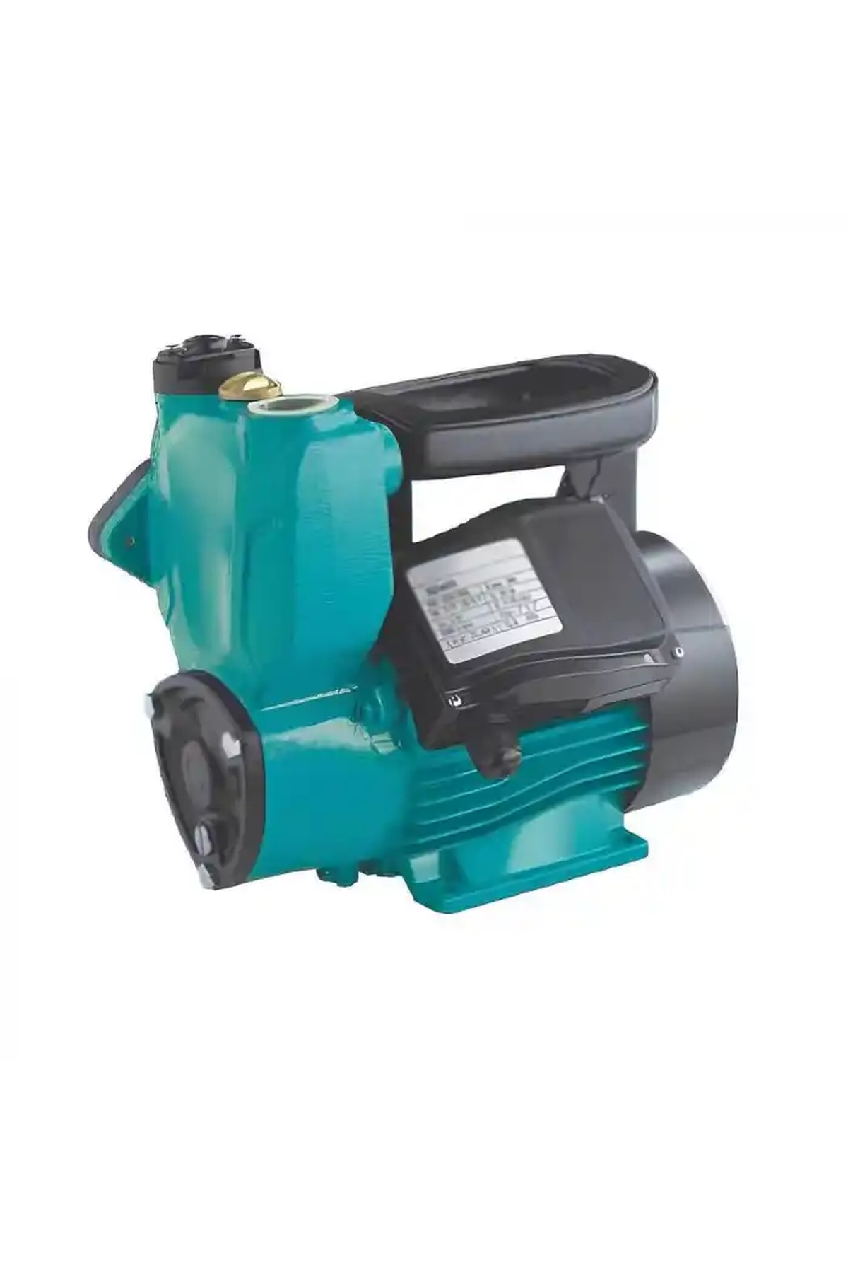 Duffmart QSM600 Kendinden Emişli Sıcak Soğuk Su Pompası