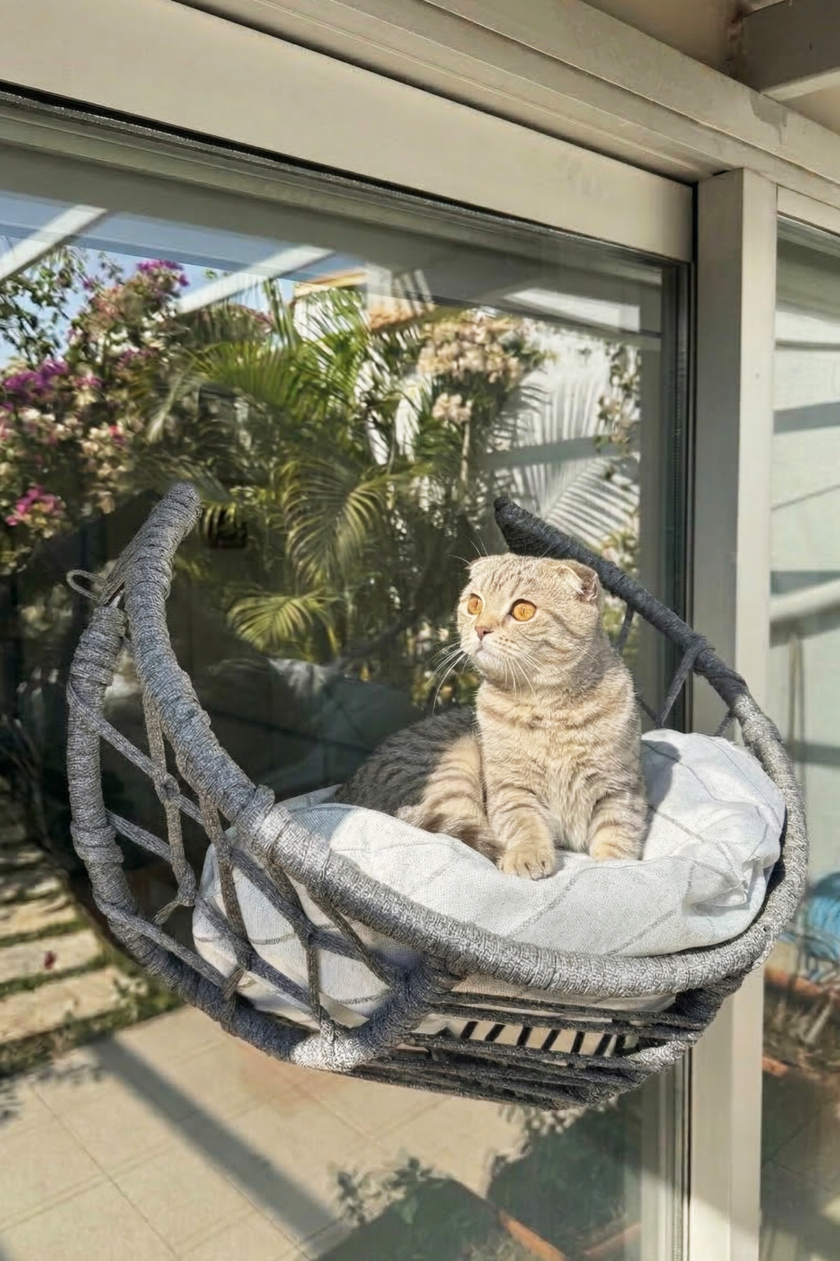 Reyo Lüxperi Hilal Kedi Cam Yatağı & Vantuzlu Cam Yatağı & Kedi Pencere Yatağı Açık Gri