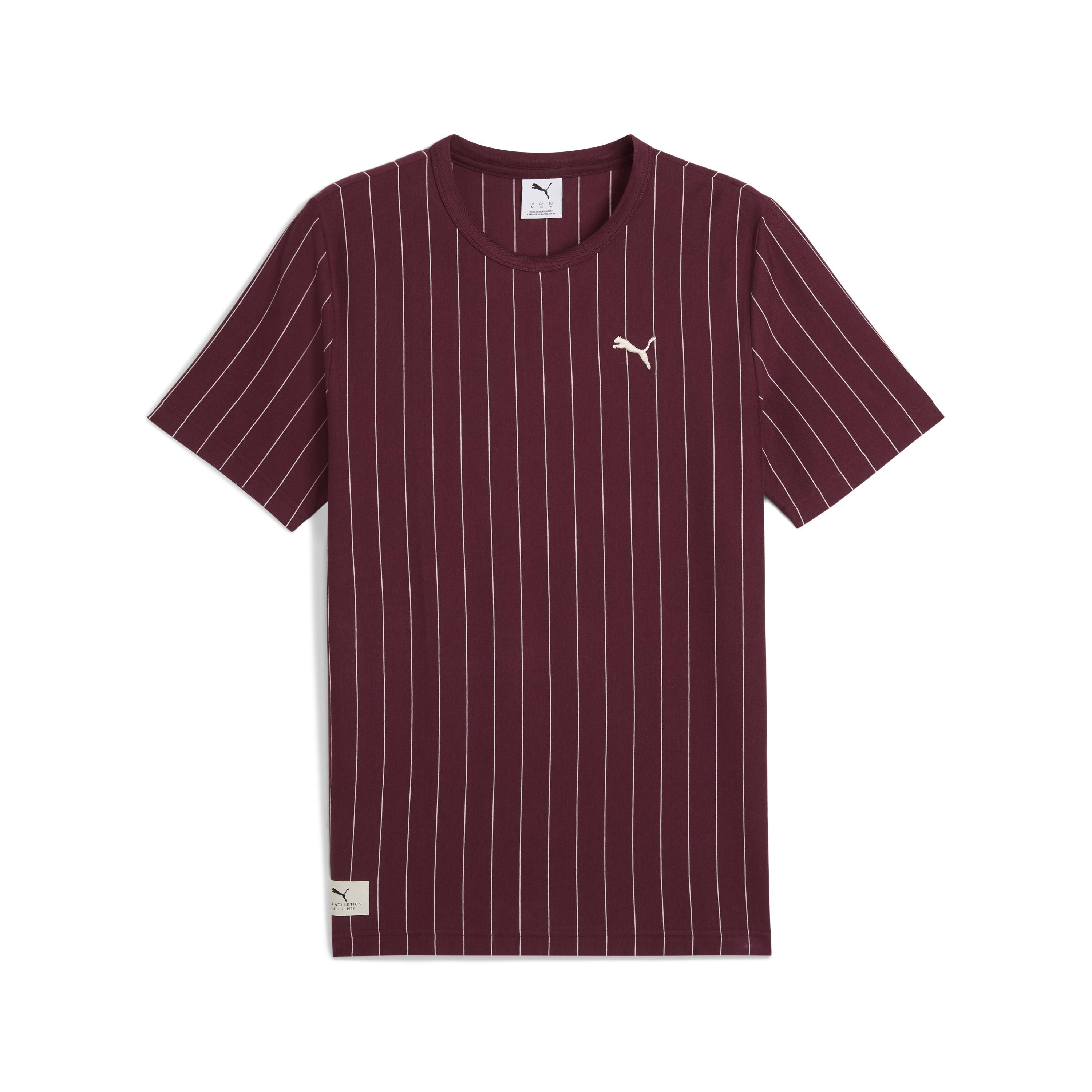 Puma Class Striped Tee Erkek Yetişkin T-shirt