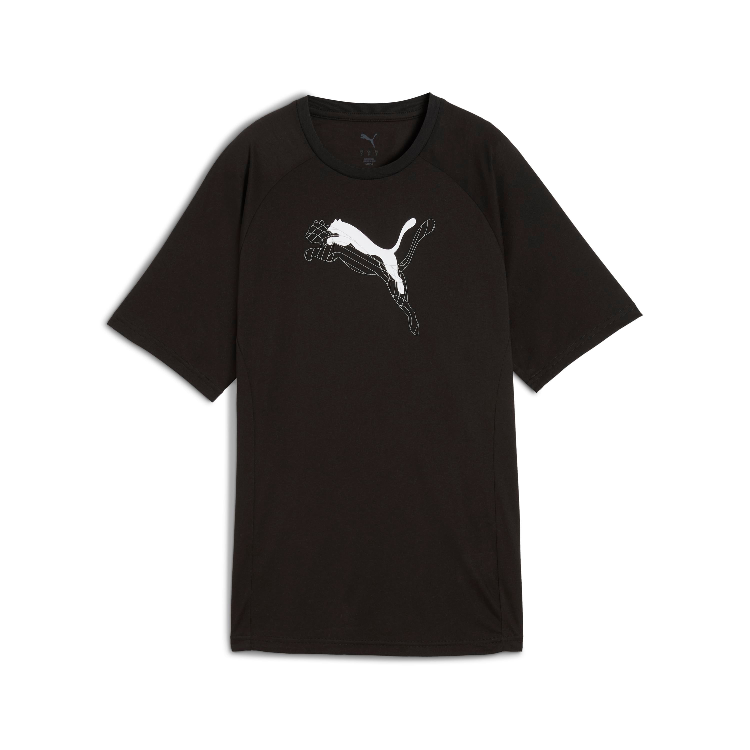 Puma Evostrıpe Graphic Tee Kadın Yetişkin T-shirt