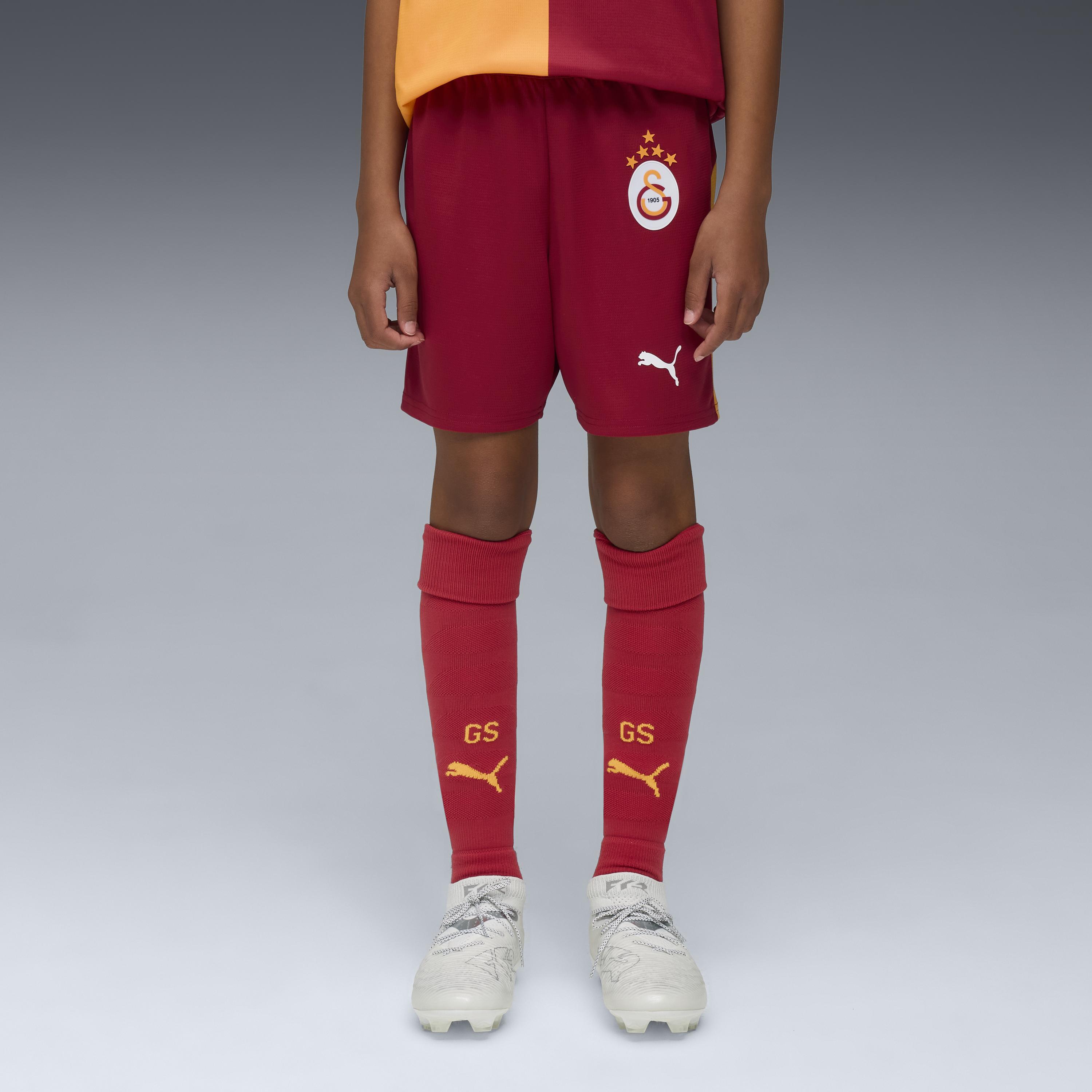 Puma Gsk Shorts Rep Jr W/B W/Os Unisex Genç Şort